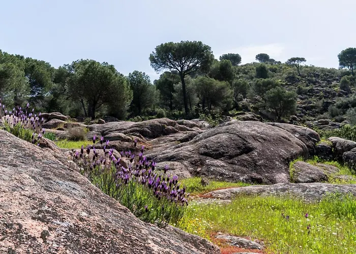 Casa El Balcon Del * Кордова